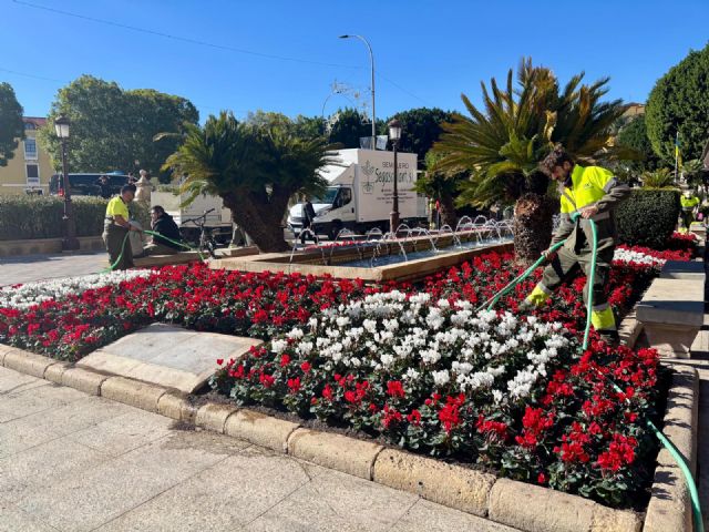 Más de 100.000 flores de temporada embellecen las calles, plazas y jardines de Murcia y sus pedanías esta Navidad