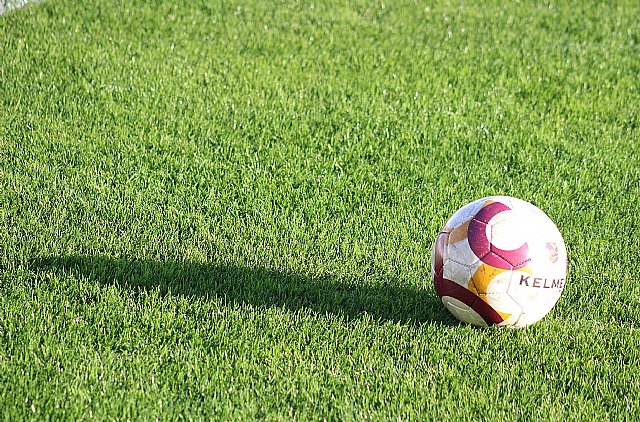 Aprobada la licitación de un nuevo sitio web y app móvil para facilitar la accesibilidad a la información y a las gestiones online del Servicio de Deportes