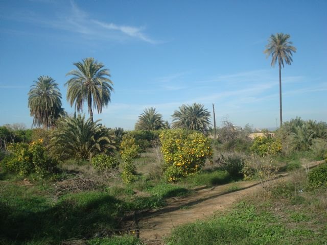Cambiemos denuncia el deterioro paisajístico de la casa de Antonete Gálvez por la construcción en su entorno de un gran supermercado