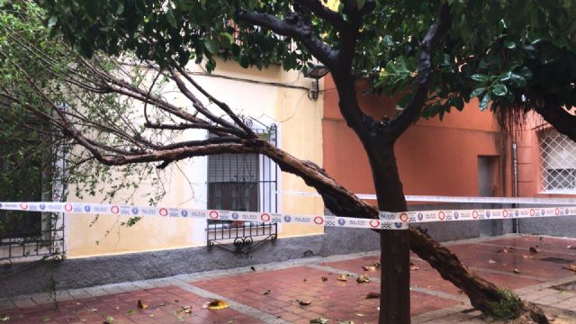 Retiran arbolado y ramas caídas en distintas zonas del municipio debido a las fuertes lluvias