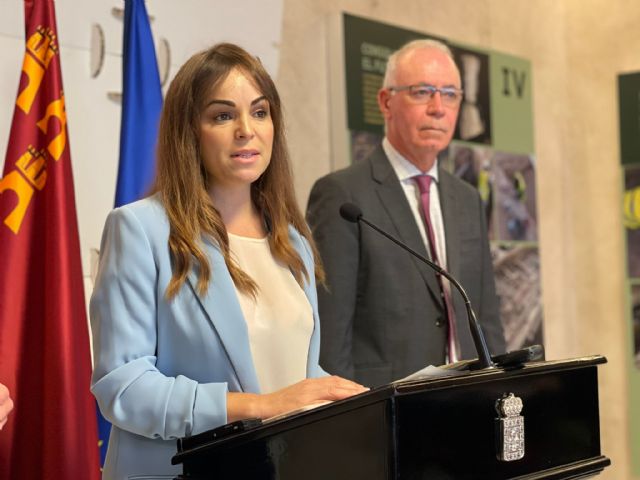 El PP propone que los partidos de todos los grupos de la Corporación presenten en el Senado enmiendas a los PGE para ampliar el tranvía