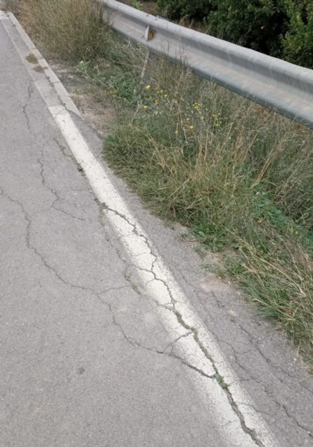 Fructuoso: 'El PP de Ballesta mantiene la red de carriles bicis en un estado lamentable por la dejadez y la falta de mantenimiento'