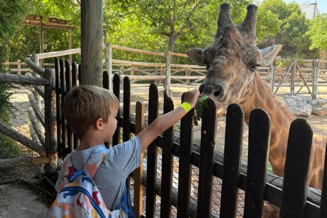 El parque zoológico municipal Terra Natura aumenta sus visitantes durante la temporada estival casi un 20%