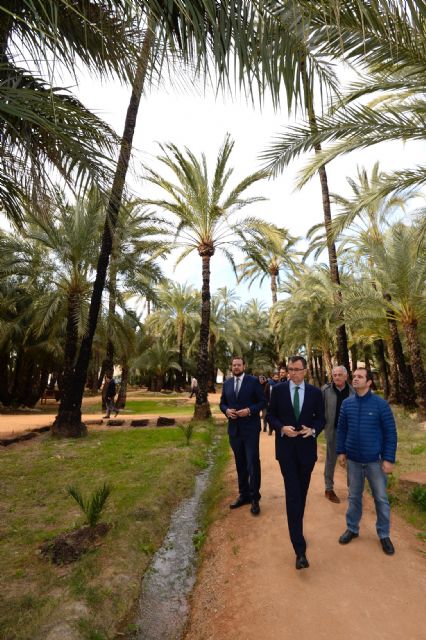 Murcia formará parte de la I Ruta de los Palmerales del Sureste y Norte de África