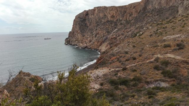 Las aves son actores importantes en la restauración de la vegetación mediterránea, según una investigación de la Universidad de Murcia
