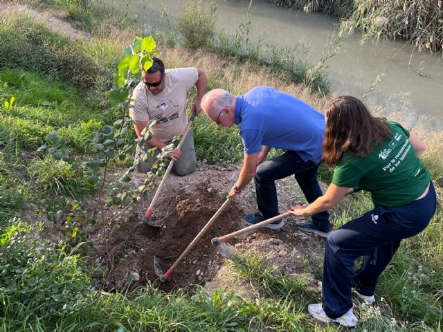 El Ayuntamiento refuerza su compromiso con la recuperación del Río Segura con nuevas plantaciones en Barriomar