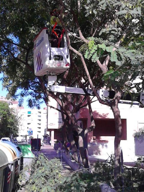 Medio Ambiente continúa con sus trabajos de mantenimiento y mejora de espacios verdes en los barrios y pedanías de Murcia