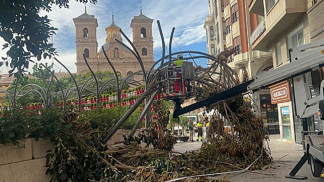 Gestoso manifiesta la preocupación de las ramas caídas del Ficus de Santo Domingo