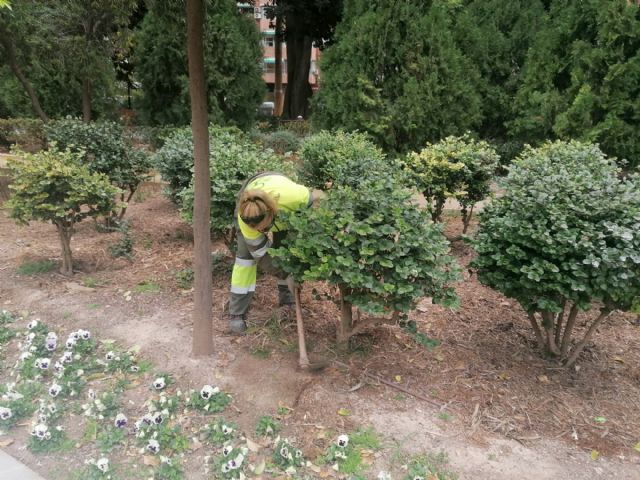 El Ayuntamiento intensifica las tareas de escarda en parterres para conseguir que el agua y nutrientes lleguen mejor a las raíces de las plantas
