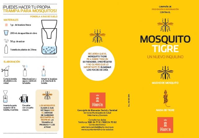 El Ayuntamiento modifica su estrategia frente al mosquito tigre debido al estado de alarma y las lluvias