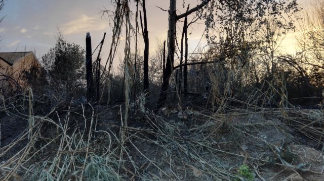 Cambiemos Murcia pide la recuperación ambiental del Azarbón de Puebla de Soto, arrasado por un incendio