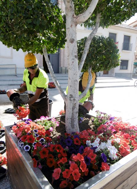 El Ayuntamiento revisa los más de un millar de maceteros en Murcia y pedanías