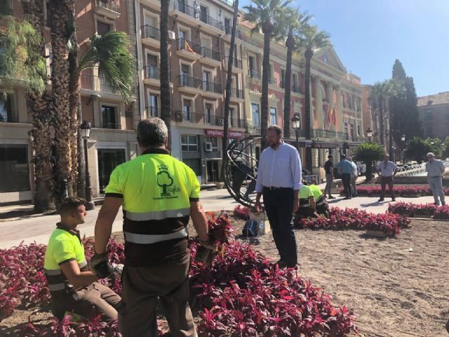 Más de 80.000 flores llenarán de color la ciudad de Murcia para la feria de septiembre