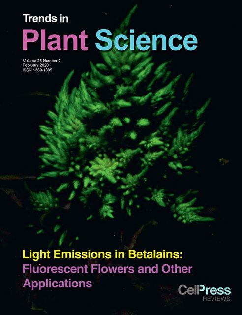La UMU analiza las aplicaciones biotecnológicas de la fluorescencia en pigmentos vegetales