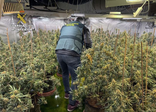 La Guardia Civil desmantela tres invernaderos de marihuana con cerca de 900 plantas en varios chalets de una urbanización