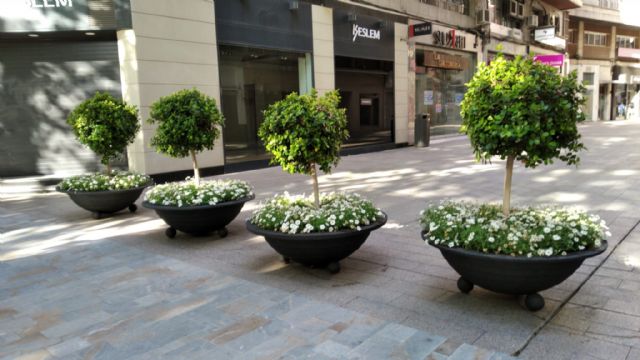 Más de 200 maceteros con 30.000 flores decoran las calles de Murcia