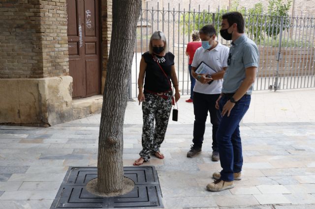 El Ayuntamiento coloca más de 300 cubrealcorques en los árboles del casco histórico para mejorar la seguridad de los peatones