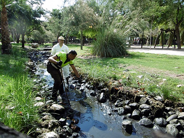 El Ayuntamiento realiza una limpieza intensiva de los lagos del municipio
