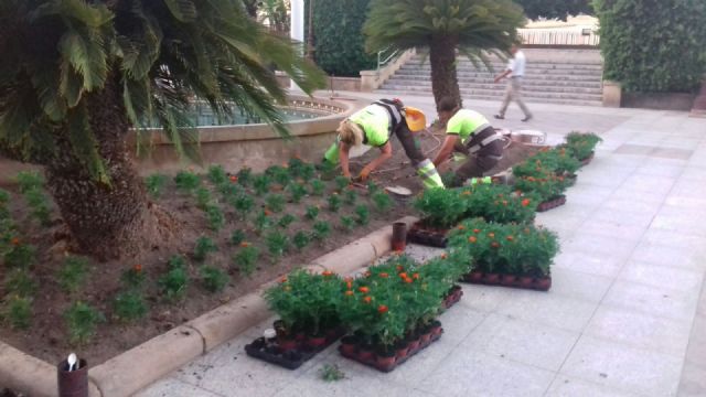 El Ayuntamiento planta más 323.000 flores de temporada en sólo seis meses