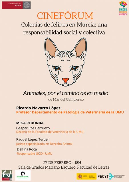 La UMU reflexiona sobre las colonias de felinos en Murcia