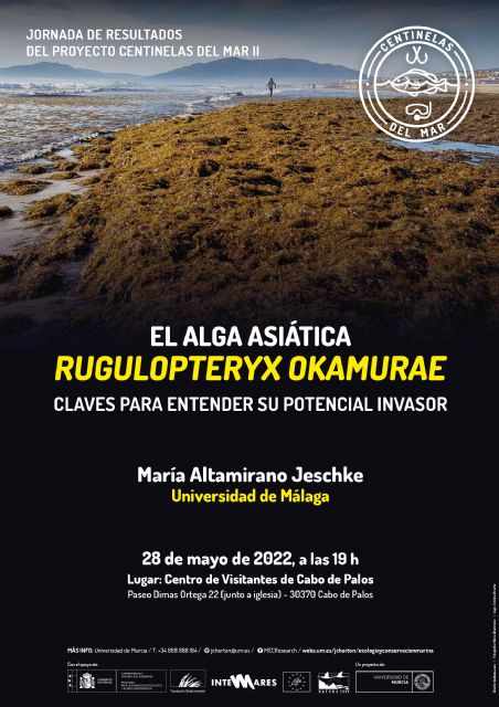 El proyecto de la UMU 'Centinelas del Mar' organiza una jornada sobre el impacto del alga asiática Rugulopteryx okamurae en el Mediterráneo