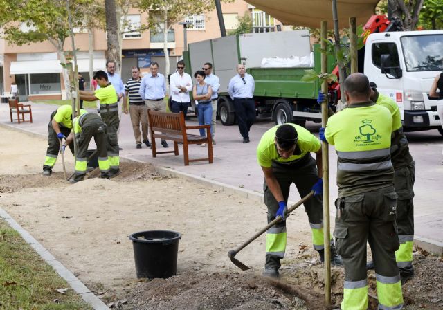 Murcia evitará la emisión de 4,5 millones de kilogramos de CO2 con la plantación de 50.000 nuevos árboles