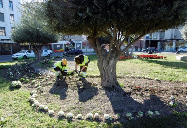 Más de 1.800 flores decoran la Avenida Ciudad de Almería de Murcia
