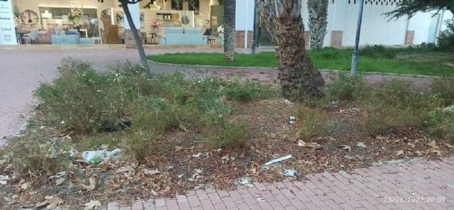 El PP exige la puesta a punto de las zonas verdes de Murcia y sus pedanías antes del comienzo del curso y  las fiestas de septiembre