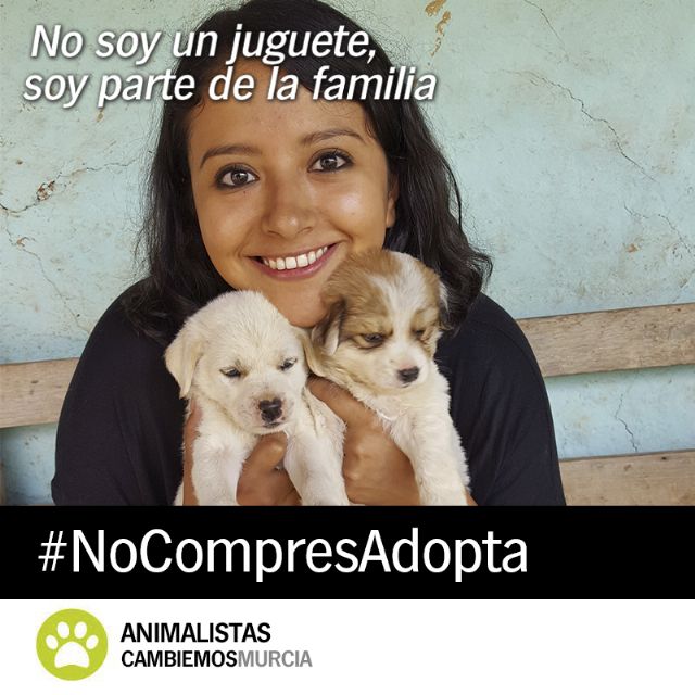 Cambiemos lanza la campaña ´No soy un juguete´ para fomentar la adopción de animales