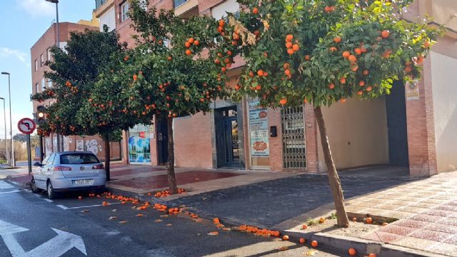 El PSOE critica que Guillén presuma de la poda de naranjas en el centro de Murcia 'mientras abandona deliberadamente a las pedanías'