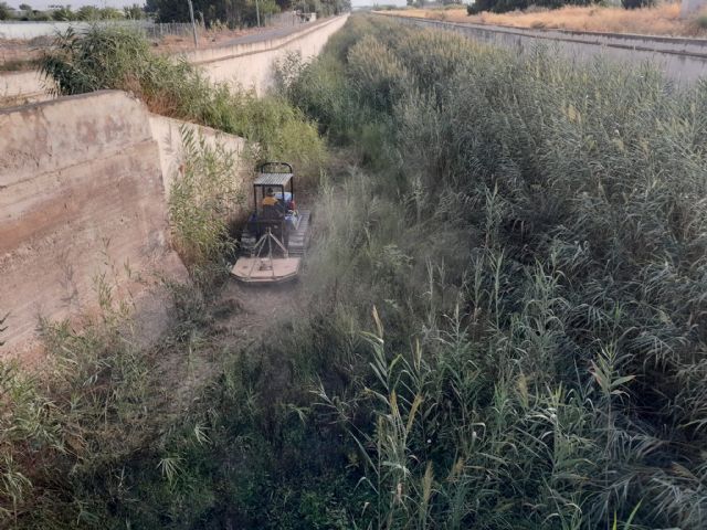 La CHS inicia los trabajos de desbroce del cauce del canal del Reguerón en el municipio de Murcia